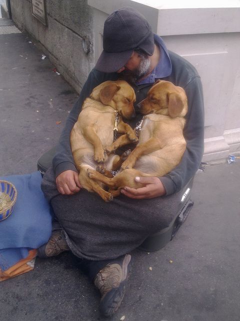 cute-overload:  A Homeless Man With His Dogshttp://cute-overload.tumblr.com source: