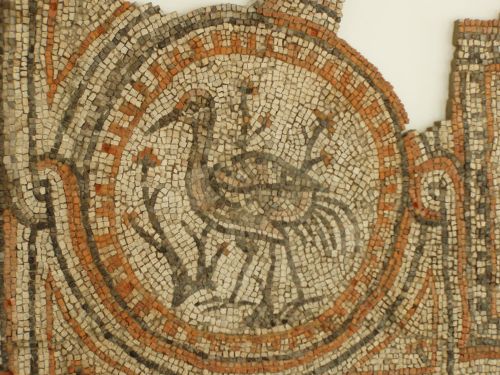 romegreeceart:Another Roman bird mosaicc from Hemmaberg :)* 5th century CE* Hemmaberg church, Carint