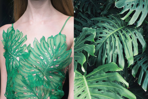 whereiseefashion: Match #305Details at Gucci Spring 2016 | Split Leaf PhilodendronMore matches here