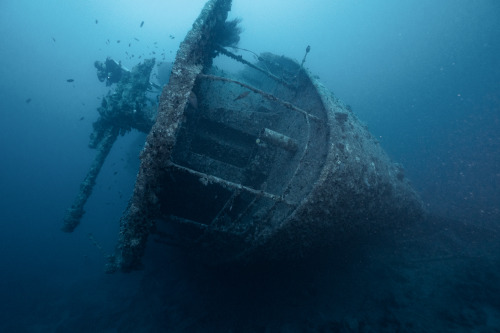 I spent a previous week on a liveaboard at the Red sea. We were exploring the world-class wreck divi