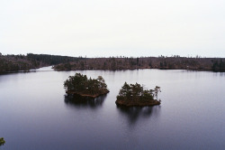 ingelnook:  Tyresta National Park by xenerr