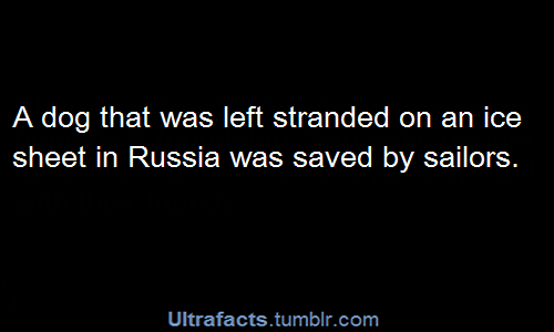 ultrafacts:  Entire compilation of Russia facts. Sources: 1 2/2/2/2 3 4 5 6 7 8 9 