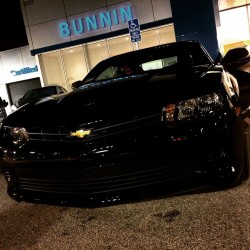 toraretodieyoung:  Thanks Bunnin for my baby Salem 😈 now let the games begin 😁😁 