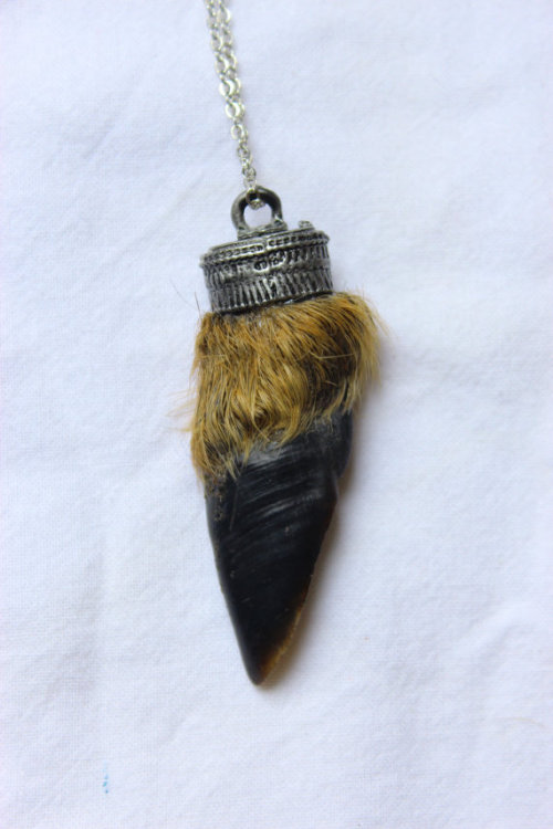 Preserved deer hoof necklace $38.94