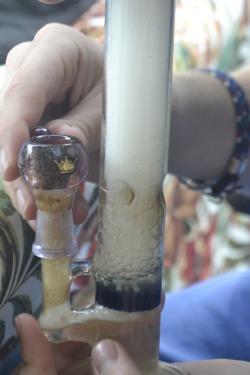 thc-kittyy:  milked bongs dude 