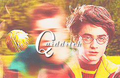 morsmordre-x:{ ollivander’s challenge } week 4 → quidditch