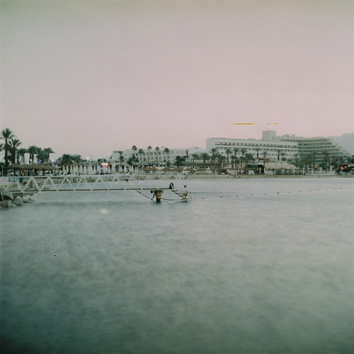 melawire:  /cleaning 2013 folder/ Eilat, sea and cats.