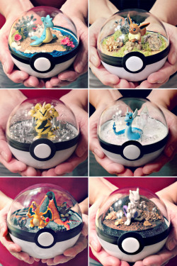 shutupandtakemyyen:    Pokeball Terrariums