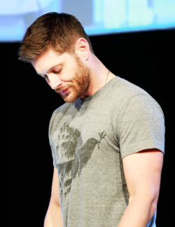 justjensenanddean:   Jensen Ackles | JIBCon 2015 [credits: elsiecat]   