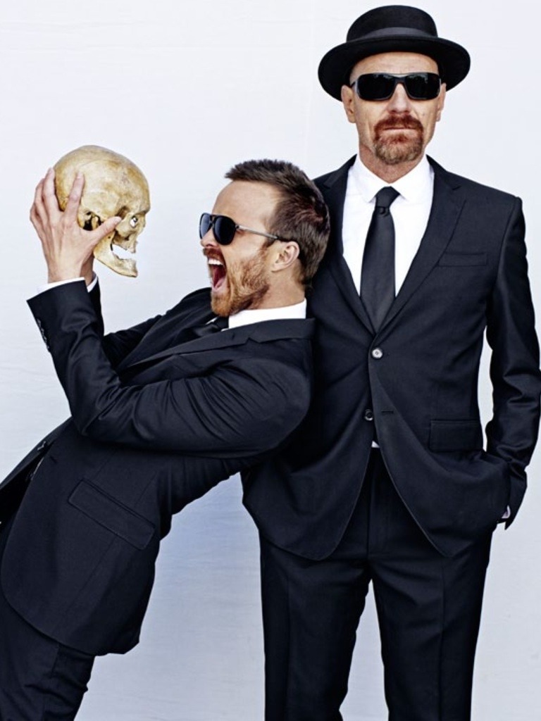 faithandfury:  systemofadowny:  b0wl:  systemofadowny:  Say my name  Heisenberg. 