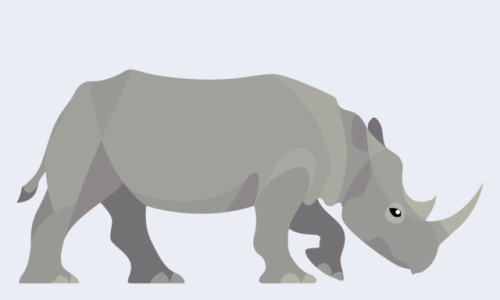 Ceratotherium simum - White Rhinoceros