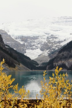 matchbox-mouse:  Lake Louise. Alberta, Canada.