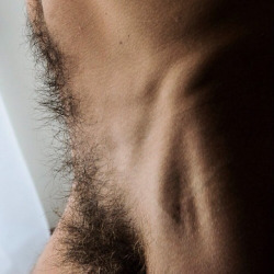 lovemalepubichair.tumblr.com post 137064672077