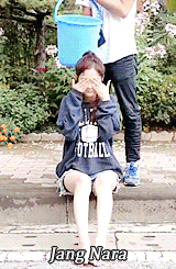 paper-box:  Korean actors and actresses accepting the ALS Ice Bucket Challenge. 