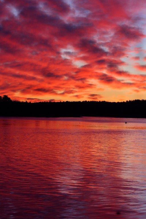 jollyrogers777:  Sky on fire…. 