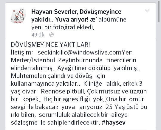 draculaninkizi:biparcayalnizlik:PAYLASINCA BLOĞUNUZ KİRLENMEZ.  Ya yazık ama hayvana