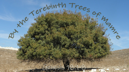 By the Terebinth Trees of Mamre (Genesis 18:1-8)
