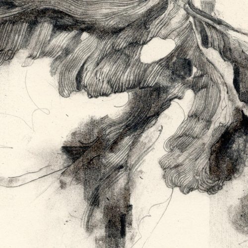 jamesleech:dead leaf rhythm no.5charcoal and graphite on paper, 6x6 in, 2020