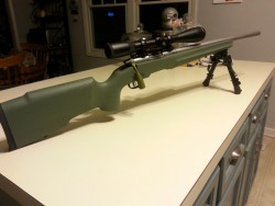 lifecyclesofmayflies:  My new pro varmint