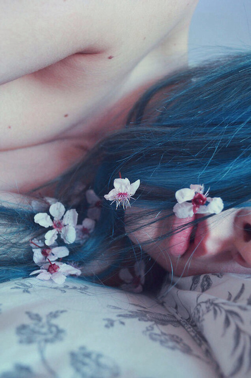 riverofbones:  vintage blog ❂