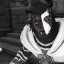 thetitor