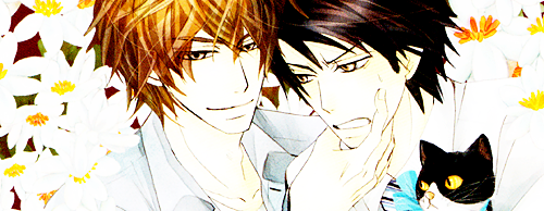 doujinka-deactivated20140531:  ～横澤隆史の場合～ 