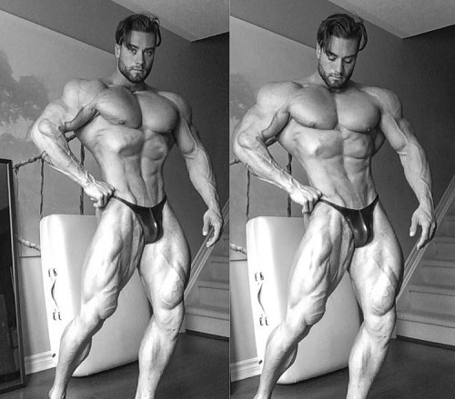 bodybodyman:Chris Bumstead