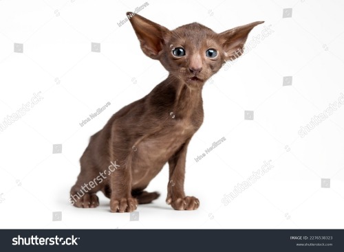 How I Look At My Coworker I Love That Has My First 3 Saw Movies Trying To Telepathically Beg Her To Give