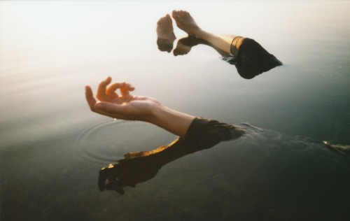 victimize:  Brassica Napus, 2012 
