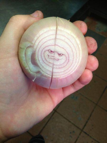 Porn That day, onionkind received a grim reminder. photos