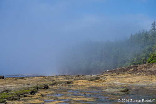 7.7.2014 - day 5 on the West Coast Trail - the fog moving in..#BC #Canada #VancouverIsland #WestCoas