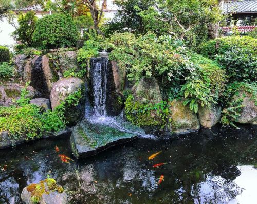 笠間稲荷神社庭園 [ 茨城県笠間市 ] Kasama Inari Shrine Garden, Kasama, Ibaraki の写真・記事を更新しました。 ーー関東を代表する #日本三大稲荷 の神社