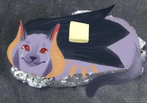 Cat Memes With Zikis