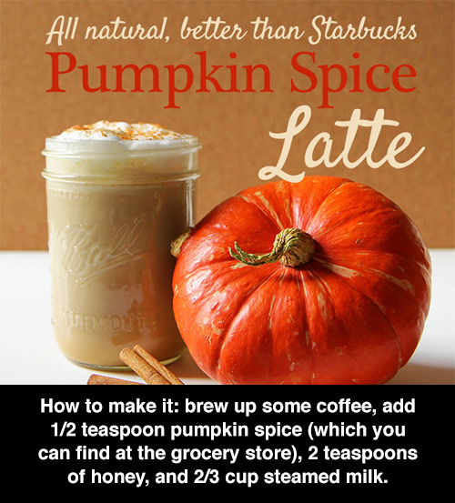 trendingly:  8 Delicious Ways To Eat Pumpkin Spice 