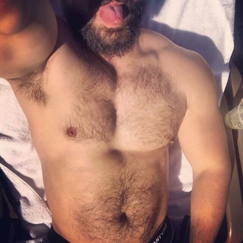 bearpitpig:  #HairyPits #Armpits #Bear #Pits #MuscleBear #Hairy #Pig #Furry #FurryPits #Pit #ManlyPits