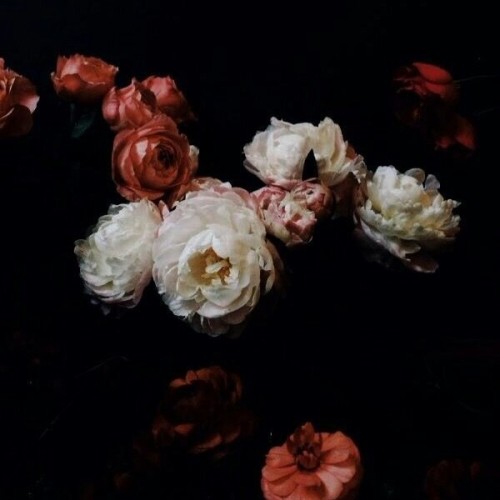Persephone