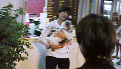 chaootic:  a duck with a dog (｡◕‿‿◕｡) 