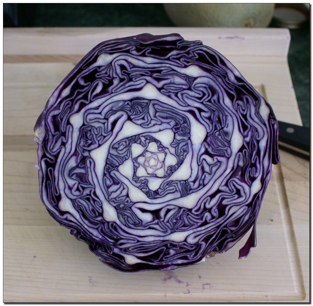 crazypictures:  Amazing Natural Geometry in Cabbage 