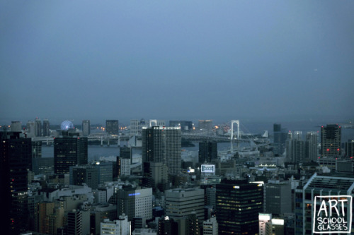 The view from Tokyo TowerTokyo, Japan