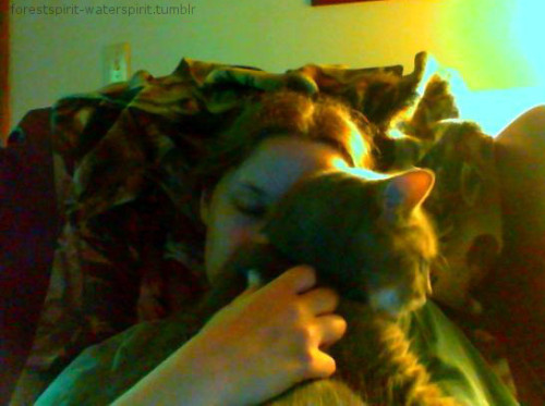 forestspirit-waterspirit:Just a crappy computer camera pic! But my old man climbed on my lap and I c