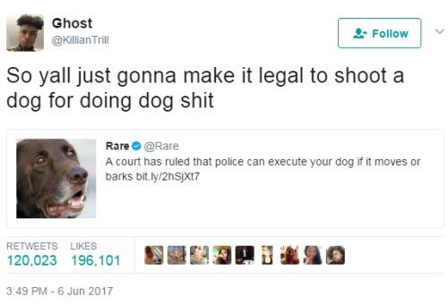 homotionall:  yobitchmyhoe:  lagonegirl:   I mean they already shooting black people for doing… nothing    But fighting a police dog off you is a charge assault against a officer. Gtfo! A police dog life matters more than my black ass, and dog.   I’m