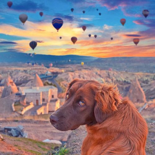 Early morning rituals at @millstone_cappadocia
📲 EditApp: @izkizCam
#Cappadocia by @izkiz