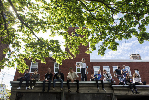 Scenes from the annual Somerville Porchfest on May 13, 2018. [Wicked Local Photo/Ruby Wallau]