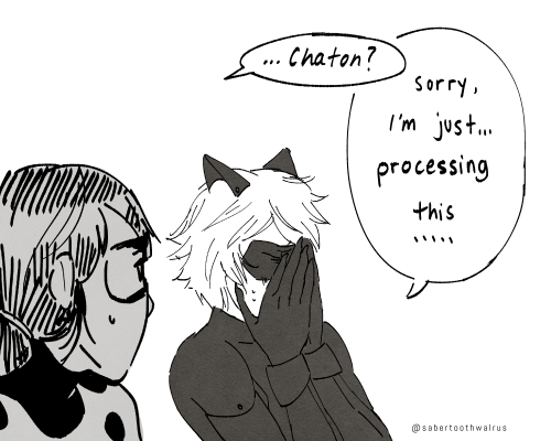 I Uhhhh I Made Another Continuation....