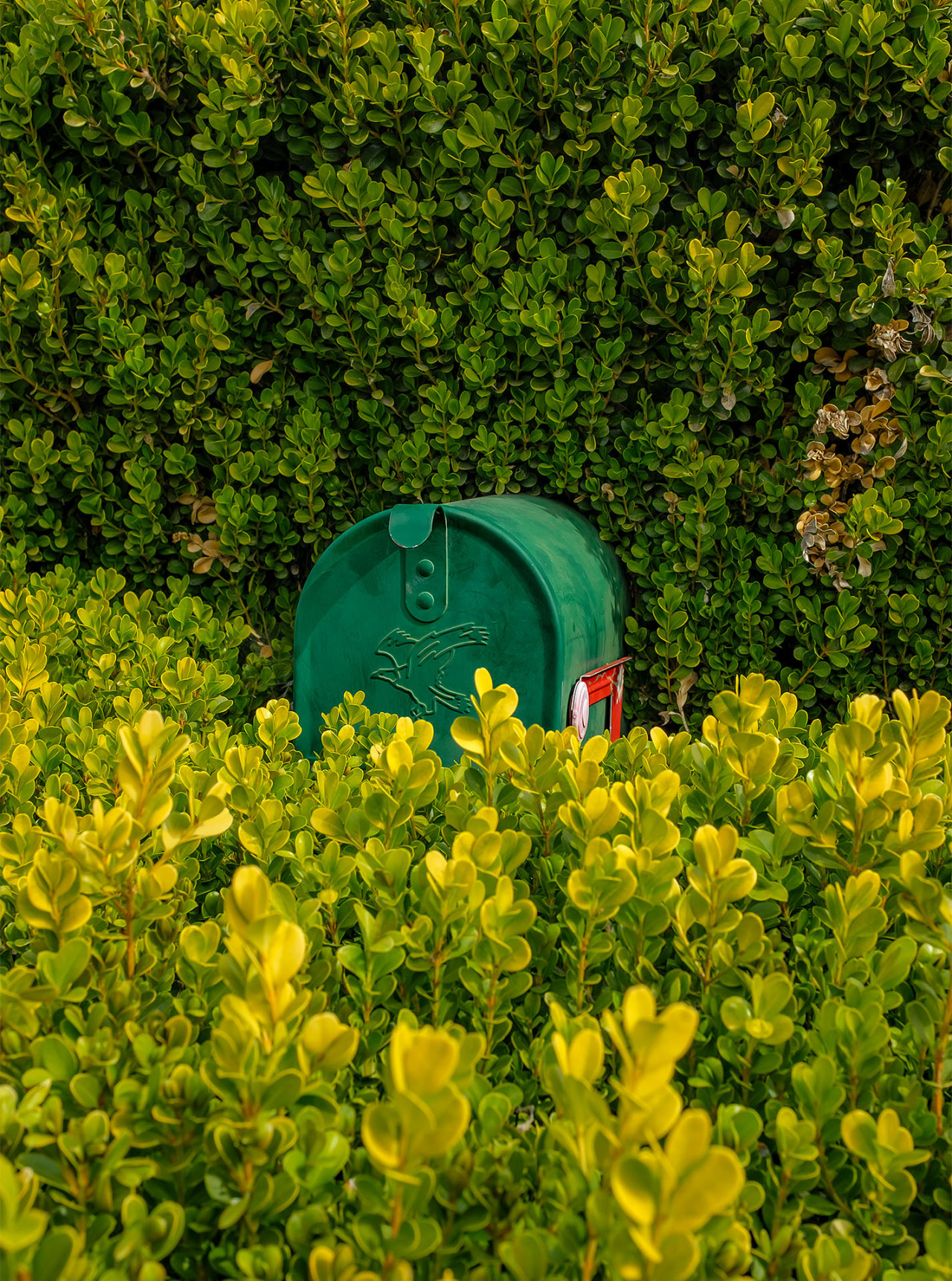 hidden mailbox - Vacaville, CA