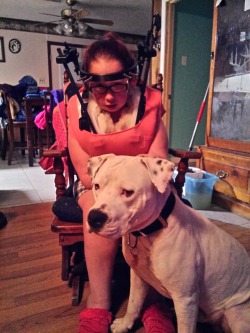 rucking-fad:  flxffi:  This is Zeus the pitbull.