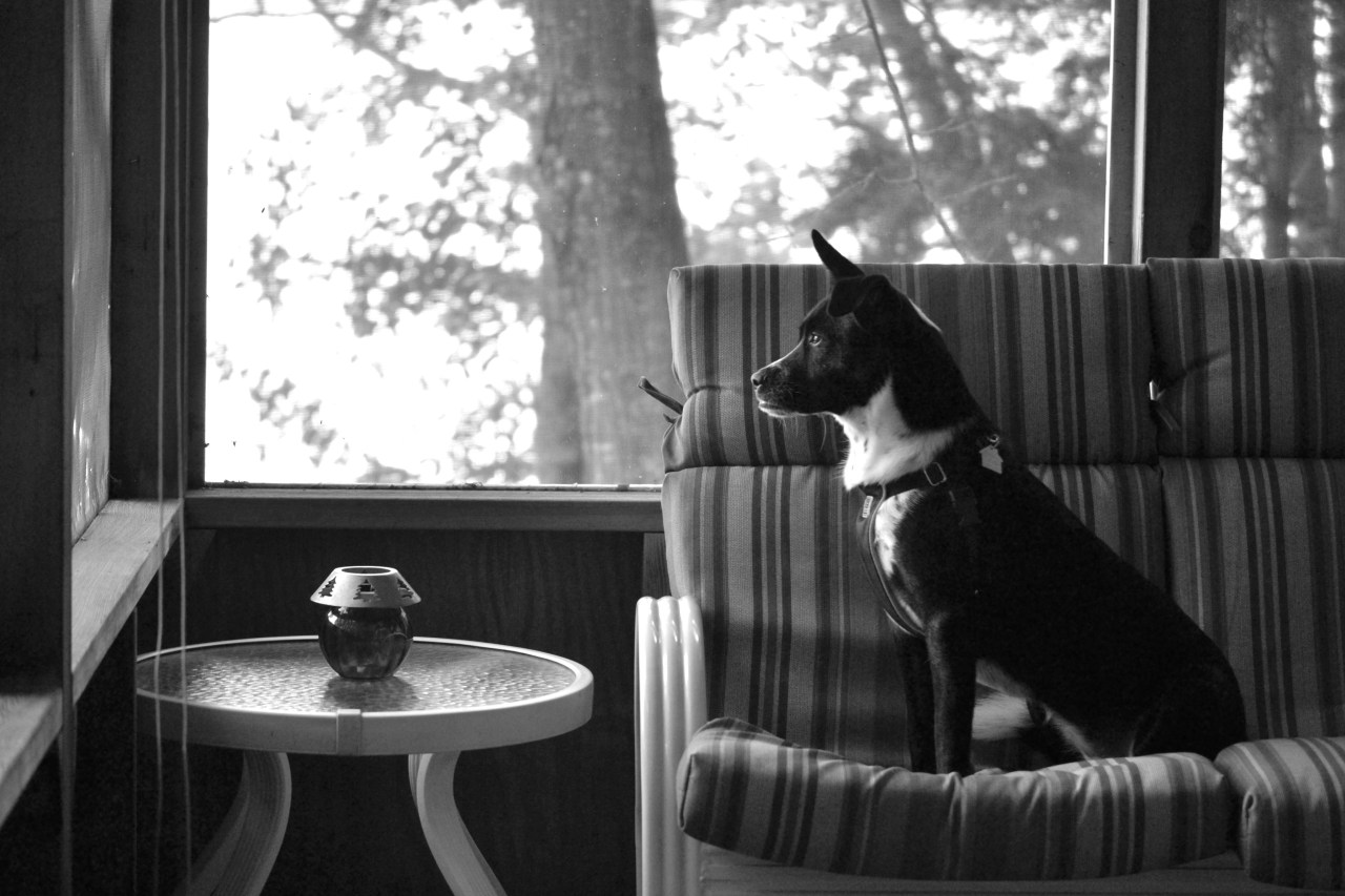 Tumblr Photo