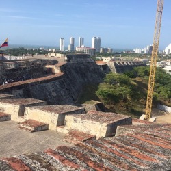 The view from our apt we got through Airbnb,