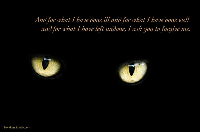 Samuel Beckett Motivational Cat Posters