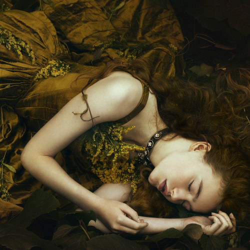 bellakotak:Wild honey…The inspiration for this sparked from an ivy covered wall near my house